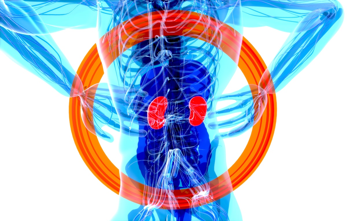 Stress management and urological wellness