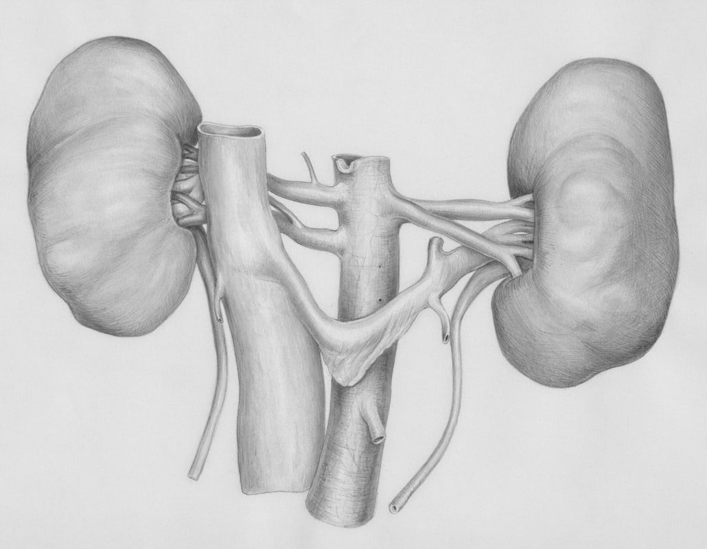 Zinc and male urological health